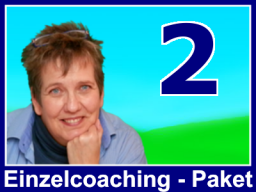 Webinar: Einzelcoaching - Paket (2 Stunden )