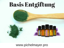 Webinar: Basis Entgiftung mit ätherischen Ölen & Co