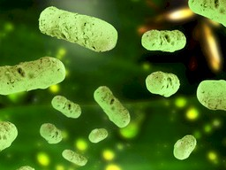 Webinar: Immunologie - Systemische Betrachtung des Abwehrsystems