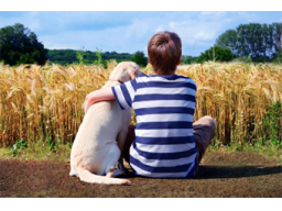 Webinar: Der Autismushund Assistenzhund