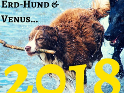 Webinar: 2018 - Ausblick mit Martin