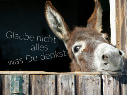 Webinar: Glaube nicht alles was Du denkst