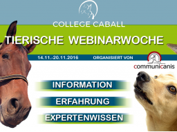 Webinar: Pferde gesund füttern & Das Verdauungssystem des Pferdes