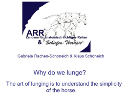 Webinar: Why do we lunge?