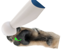 Webinar: Einführung in die NeuroStim® Anwendung am Hund