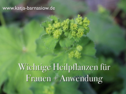 Webinar: Frauenheilpflanzen + Anwendung