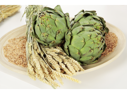Webinar: Ernährungsumstellung - Infowebinar