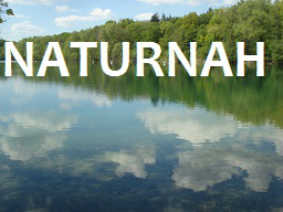 Webinar: Naturgestützte Selbsthypnose - ein Infowebinar!