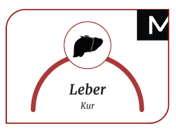 Webinar: Die Entgiftungs-Kur