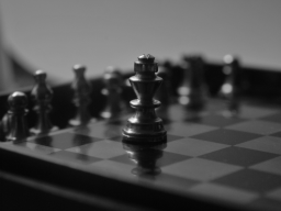 Webinar: Strategien gegen die Informationsflut