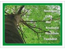 Webinar: Glücksaspekte IV