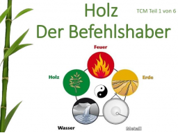 Webinar: TCM Teil 1 von 6: Holz - Der Befehlshaber