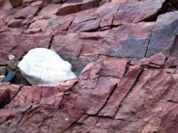 Webinar: Fine Art of Facilitation
