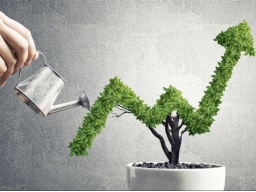 Webinar: Hızlı ve Kolay şekilde Finansal Bağımsızlık