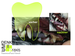 Webinar: Maul gesund (ohne Narkosen) = Tier gesund (um 9:00 + 20:30)