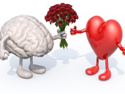 Webinar: Emotionen verstehen und umwandeln