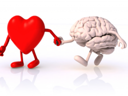 Webinar: Dran bleiben