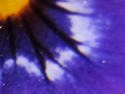Webinar: Magic of colours -4 Das klare Blau