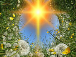 Webinar: HEILMEDITATION - DAS LEBEN ATMEN UND DIE LEICHTIGKEIT DER SEELE FINDEN