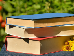 Webinar: Für dich gelesen - Nahtoderfahrungen