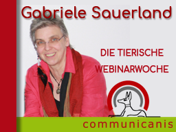 Webinar: Wenn Angst das Leben schwer macht & Stress erkennen und vermeiden >> 2 Webinare 1 Preis