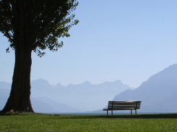 Webinar: Dem Burnout vorbeugen - die Balance wahren - entspannen Teil 2