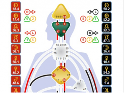 Webinar: HumanDesign - Was ist das?