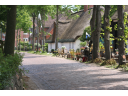Webinar: Schnellcoaching Enzelsitzung