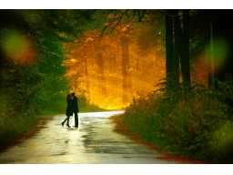 Webinar: Manifest Your Soulmate!