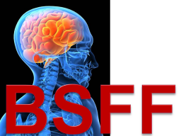 Webinar: Endlich! BSFF fürs Selbstcoaching