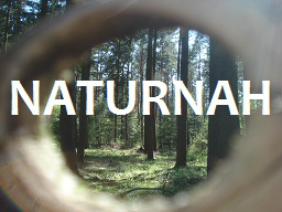 Webinar: Naturgestützte Selbsthypnose lernen, Teil 1
