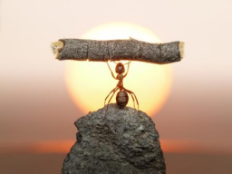 Webinar: Du hast die Macht ...