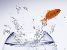Webinar: Mit Webinaren begeistern