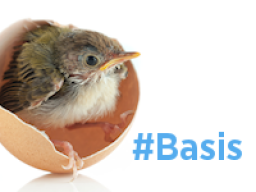 Webinar: Twitterkurs BASIS