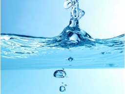 Webinar: Werden Sie Trinker - Wassertrinker