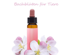 Webinar: Bachblütenberater für Tiere - eine Ausbildung