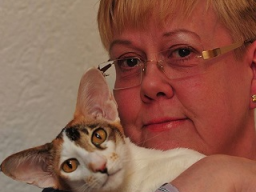 Webinar: Wenn die Katze älter wird