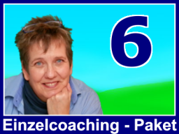 Webinar: Einzelcoaching - Paket (6 Stunden)