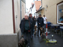 Webinar: Sachkunde Hund - Hund und Recht