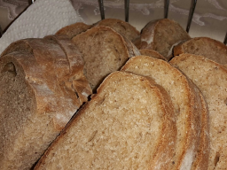 Webinar: Wie kann ich mit Low-Carb abnehmen?