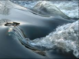 Webinar: Winter-Niere-Urvertrauen "Element Wasser"