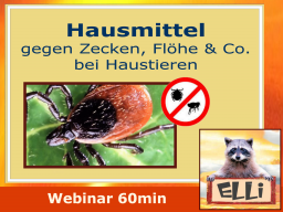 Webinar: Natürlich gegen Zecken, Flöhe & Co bei Haustieren - aber wie?