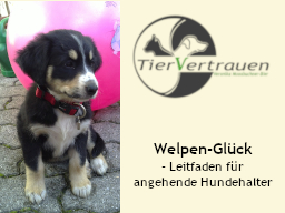 Webinar: Welpen-Glück - Leitfaden für angehende Hundehalter (Teil 1 - Die Entscheidung)