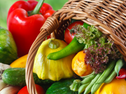 Webinar: Basische Ernährung im Alltag