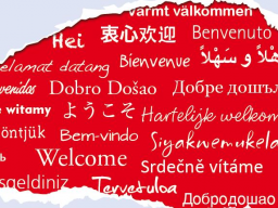 Webinar: Interkulturelle Kompetenz - Kritisch konstruktiver Umgang mit kultureller Vielfalt
