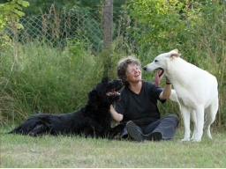 Webinar: Was hast du gesagt? - Teil 2: Warum Hunde oft nicht hören, weil Menschen zu viel reden