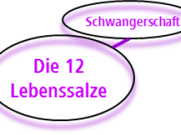 Webinar: Schüssler Salze und "Schwangerschaft"