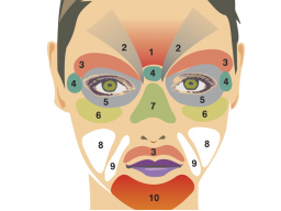 Webinar: Hautdiagnose nach dem Ursachenprinzip