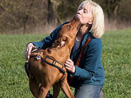 Webinar: Mentaltraining für Hundebesitzer