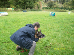 Webinar: Sachkunde Hund - Kommunikation / Rangordnung
